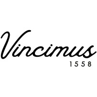 Vincimus Capital logo - Similar company to Holmes Equity