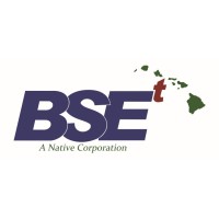 BSEt - Telecommunications Infrastructure Division logo - Similar company to Tdx Tech