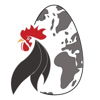 Universal Chickens logo - Similar company to D.R Cleaning Solutions / Zachar Cleaners And Pest Control