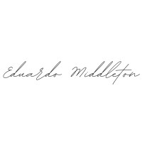 E.M Consulting logo - Similar company to Solv Ai