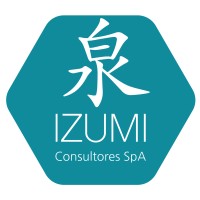 IZUMI Consultores SpA logo - Similar company to Enyma Energía Y Medio Ambiente