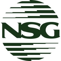 The NSG Group logo - Similar company to Jp Logistics Solutions - Miami