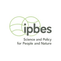 IPBES logo - Similar company to Willonski Lab