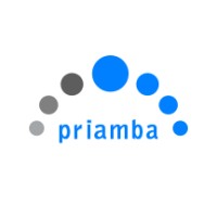 Priamba Soft LLC logo - Similar company to Supermind