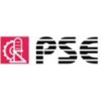 Process System Engineers (India) Pvt. Ltd. logo - Similar company to Afility Engineering Pvt Ltd