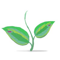 GreenCraft Media logo - Similar company to Learning Through Art, Inc.