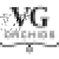 VG Orchids logo - Similar company to Logico - Orchideeën Van A Tot Z