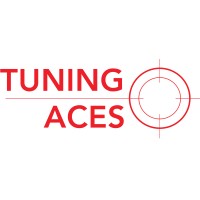 Tuning Aces logo - Similar company to Tuingle