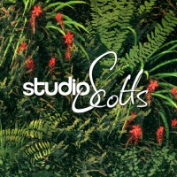 Studio Scotts logo - Similar company to 地茂景观设计咨询（上海）有限公司 Design Land Collaborative Ltd (Dlc)