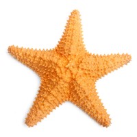 RW&C, LLC logo - Similar company to Lumilead Inc