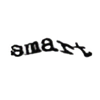 Smart Stratergy logo - Similar company to Find Common Ground