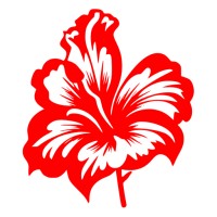 BaAyiti logo - Similar company to Premium Placement Recruiting