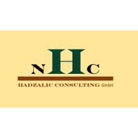 Hadzalic Consulting GmbH logo - Similar company to Optic Line Doo