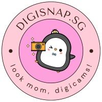 DIGISNAP LLP logo - Similar company to Retroxpect Pte Ltd.