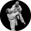 Traditional Martial Arts World