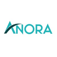 ANORA logo - Similar company to Chapter 7