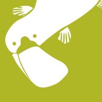 Platypus - Solutions & Technologies Pour L'Éducation