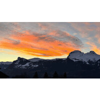 Privat logo - Similar company to Asemaan Group