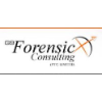 Gnine Forensic Consulting logo - Similar company to Trace Data Centre Investigations