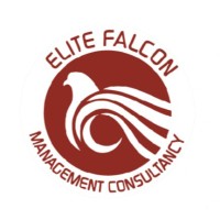 Elite Falcon Management Consultancy logo - Similar company to Meta Plus Business Consultants Fzc-Llc