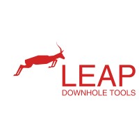 Leap Downhole Tools logo - Similar company to Fast Technology Solutions