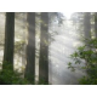 Private Practice - Counselling And Consultation