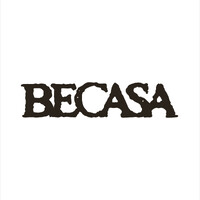 BECASA logo - Similar company to The Master'S Lighthouse Foundation