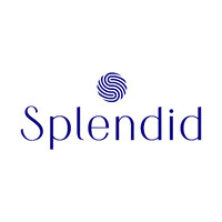 Splendid Design IT Technology LLC logo - Similar company to Netframe