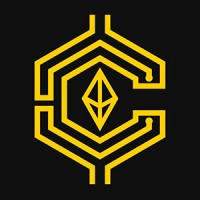 Coinsult logo - Similar company to Softstack