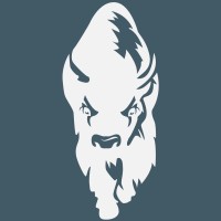 Bison Capital Group logo - Similar company to Anthem Capital