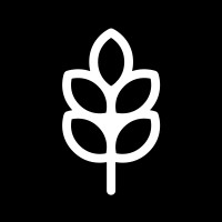 Digital Seed logo - Similar company to Appato