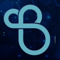 Boundless AI logo - Similar company to Imals Media