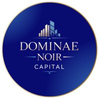 Dominae Noir Capital logo - Similar company to Microloft Studios