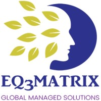 EQ3MATRIX (PTY) Ltd logo - Similar company to Sea-Eagle Logistics
