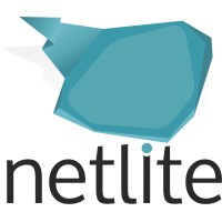 Netlite IT logo - Similar company to Evclick