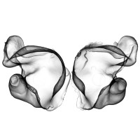 The Ear Project logo - Similar company to Iyo