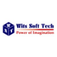 Wits Soft Tech logo - Similar company to Cherri Design