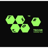 TECOR logo - Similar company to Birches Technologies