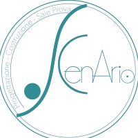 Scenario logo - Similar company to Dancla Violin Lessons