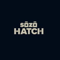 Sōzō Hatch logo - Similar company to Api Technologies