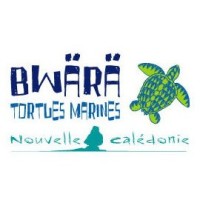 Bwärä Tortues Marines logo - Similar company to La Griffe Noire Store