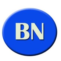 Biznext India logo - Similar company to Grupo La Lianta | Verde Olivo | Cimbreá