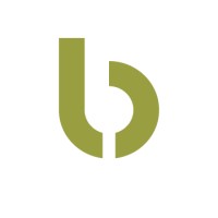 The Bamboo Shop logo - Similar company to Launch Advisory