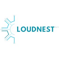 Cloud Nest .NG logo - Similar company to Barsmiko Inc