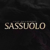 Sassuolo_Furniture logo - Similar company to Ricoth