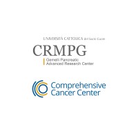 Centro Chirurgico del Pancreas Gemelli logo - Similar company to Gemelli Art