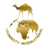 DROMACITY INTERNATIONAL logo - Similar company to Nbo Services