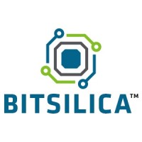 BITSILICA logo - Similar company to Ignitarium