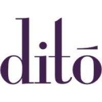 dito architects and interiors logo - Similar company to Polygon: Human-Centered Space Design
