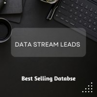 Data Stream Leads logo - Similar company to Tech Support Leads – B2B & B2C Data Vendor For Bpos